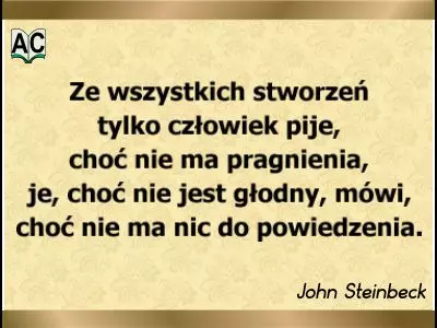 Autor: John Steinbeck Cytat Steinbecka