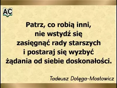 Cytat z powieści