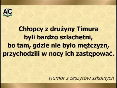 Drużyna Timura